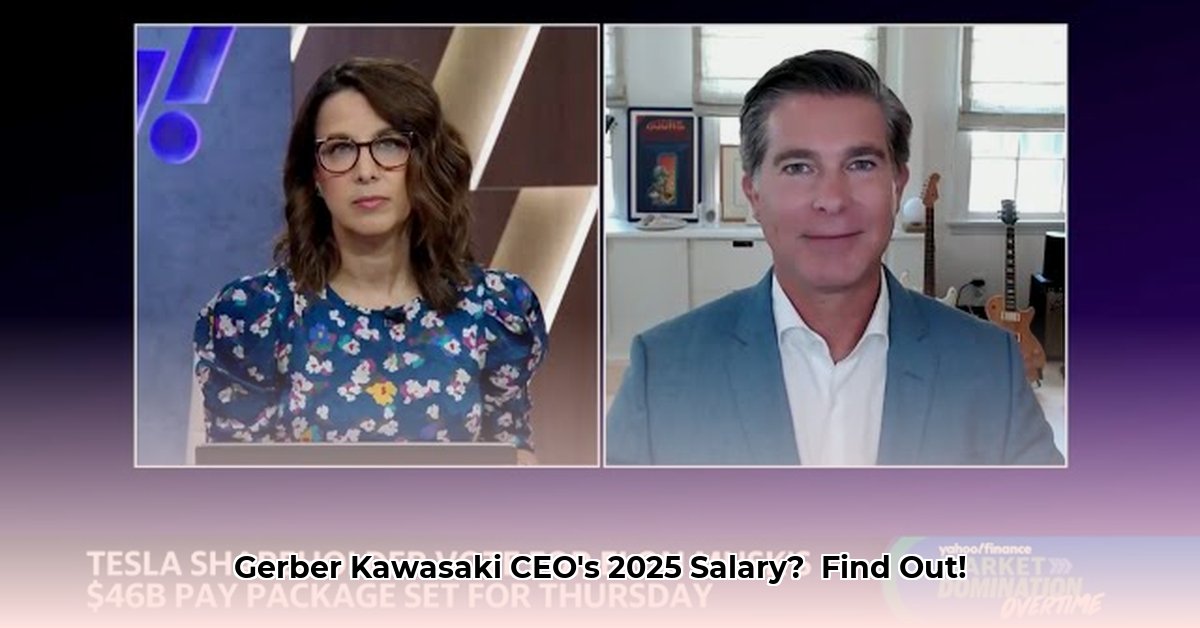 gerber-kawasaki-ceo-compensation
